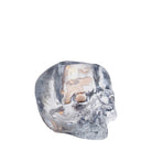 Clear crystal skull on a light gray background